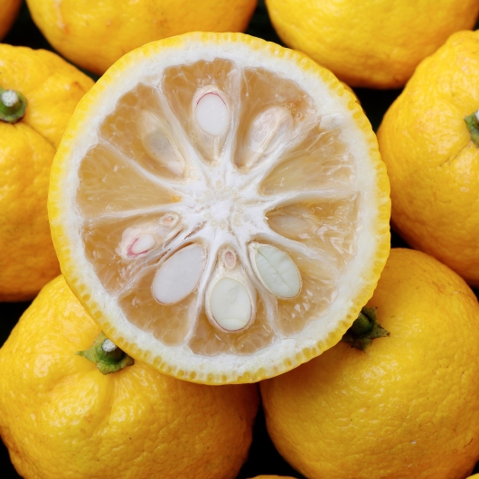 Profumi agrumati: le fragranze Nicolaï e Rose & Co. Manchester